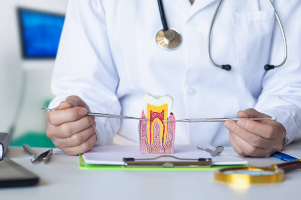 Best Root Canal Emergency Dentist  in Abbeville, AL